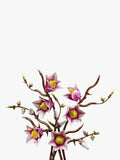 LEGO Botanicals Magnolia Branches building set, imported from the UK