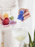 Uberstar Cool Cats silicone ice tray 4 cube, UK version