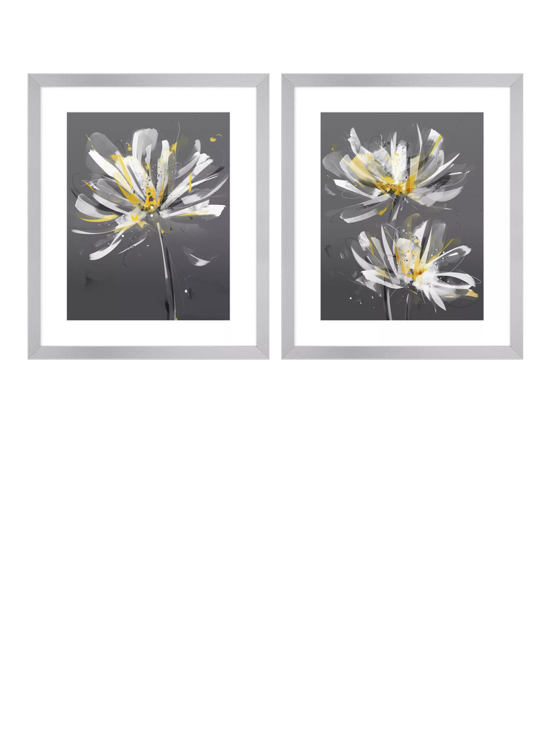 John Lewis framed print set Dahlia floral 54 x 64cm, UK version