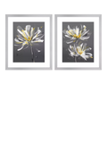 John Lewis framed print set Dahlia floral 54 x 64cm, UK version