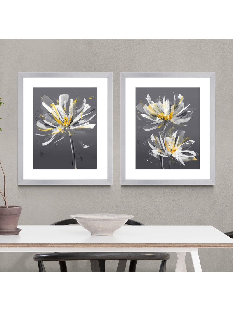 John Lewis framed print set Dahlia floral 54 x 64cm, UK version