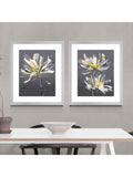 John Lewis framed print set Dahlia floral 54 x 64cm, UK version