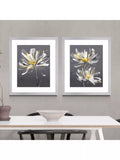 John Lewis framed print set Dahlia floral 54 x 64cm, UK version