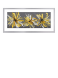 John Lewis framed floral print by Green Lili 104x49cm (British brand)