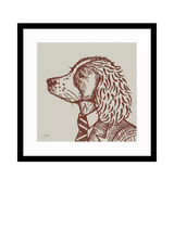 John Lewis John Lewis Jan Jay 'Finn Spaniel' Framed Print, 53 x 53cm- Buy online at McGrocer