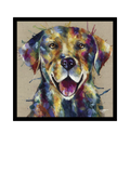 John Lewis framed print Bella Labrador 74cm - British product