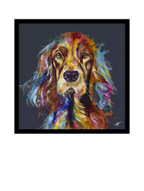 John Lewis John Lewis Louise Luton 'Daniel Spaniel' Framed Art Print, 74 x 74cm- Buy online at McGrocer