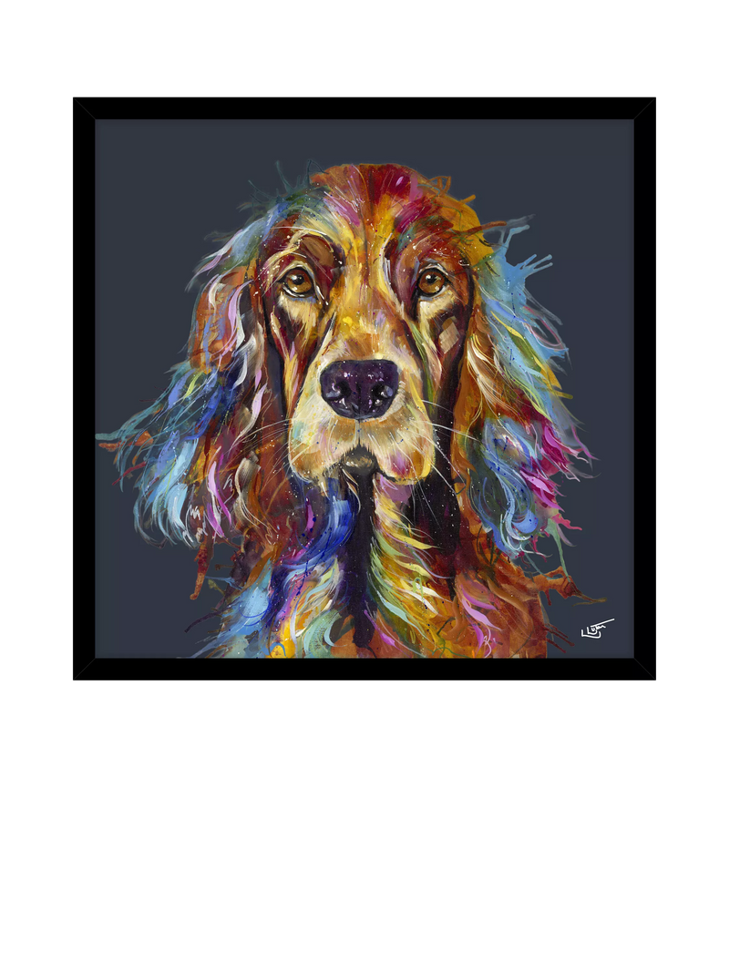 John Lewis Daniel Spaniel framed print 74x74cm, imported from the UK