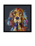 John Lewis Daniel Spaniel framed print 74x74cm, imported from the UK