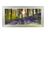 John Lewis John Lewis Mike Shepherd 'Bluebell Woods' Photographic Print, 111 x 56cm- Buy online at McGrocer