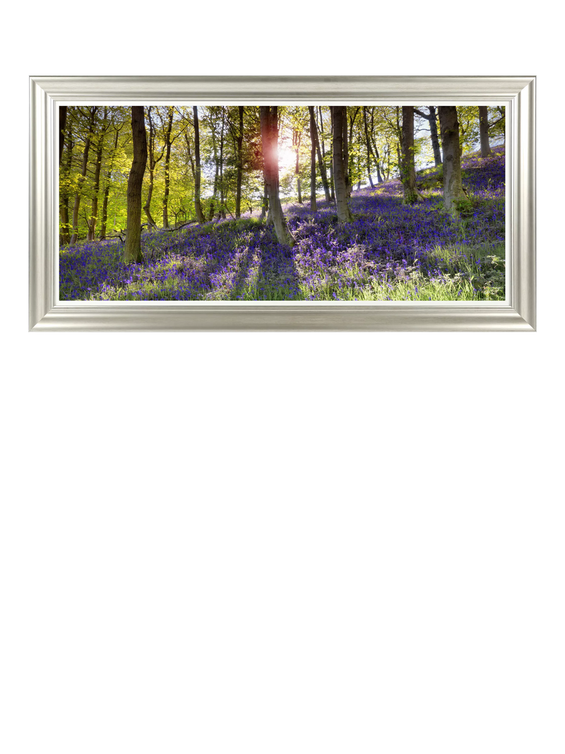 John Lewis Bluebell Woods photographic print 111 x 56cm (British brand)