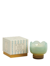 John Lewis Paddywax Wisteria & Willow Tulip Scented Candle 541g- Buy online at McGrocer