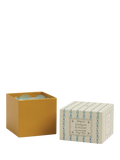 Paddywax tulip scented candle 541g, imported from the UK