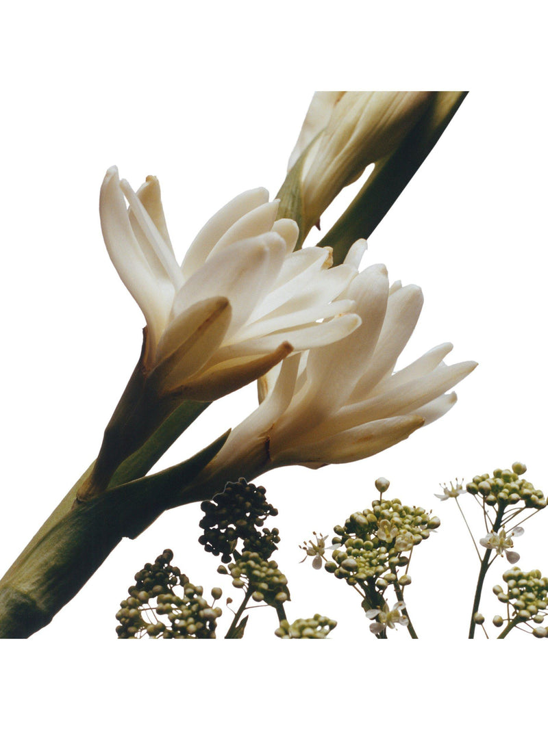 Jo Malone London Tuberose Angelica Cologne Intense, UK version