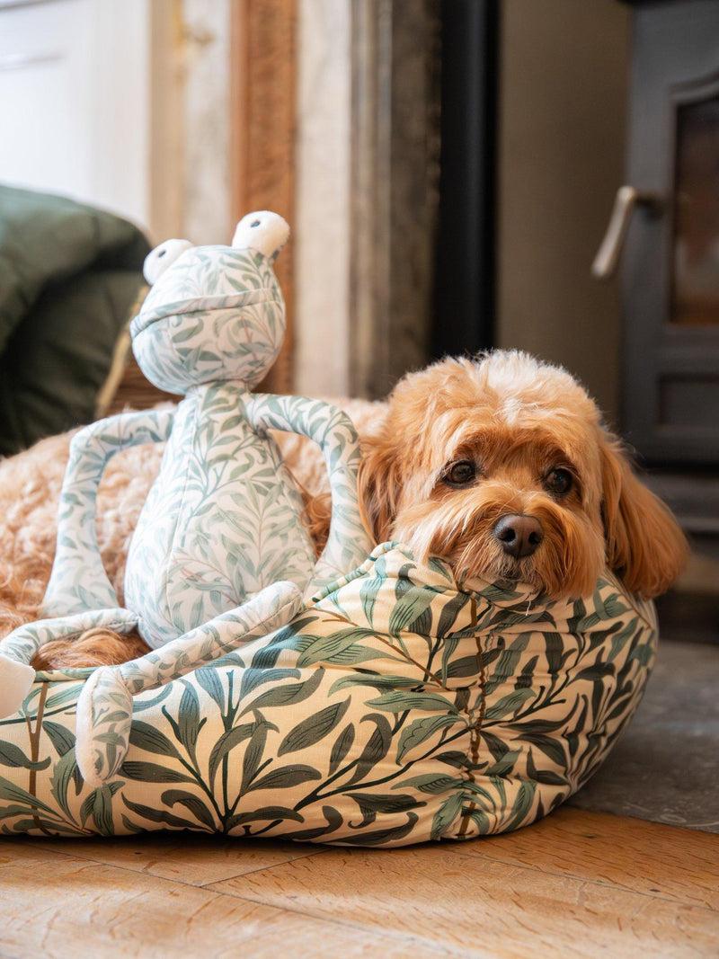 Morris & Co Willow Boughs frog dog toy (British brand)
