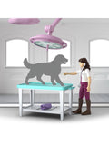 schleich Happy Horse Hospital playset (British brand)