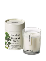 John Lewis Osmology by Aery Bonsai Tree Scented Candle, 200g- Buy online at McGrocer