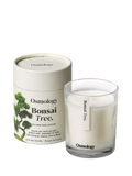 Osmology by Aery Bonsai Tree scented candle 200g, UK version