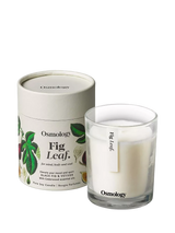 John Lewis Osmology by Aery Fig Leaf Scented Candle, 200g- Buy online at McGrocer