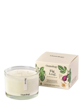 Osmology by Aery Fig Leaf three wick candle 1.1kg, imported from the UK