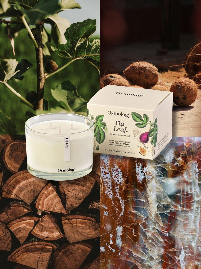 Osmology by Aery Fig Leaf three wick candle 1.1kg, imported from the UK