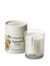 John Lewis Osmology by Aery Tomato Leaf Scented Candle, 200g- Buy online at McGrocer