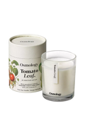 Osmology by Aery Tomato Leaf Scented Candle, 200g