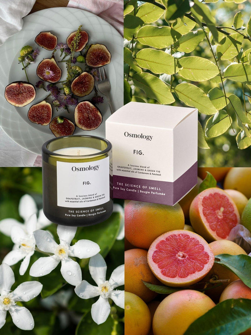 Osmology by Aery Utility Fig scented candle 200g - British product