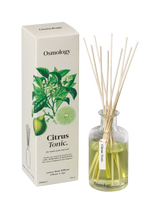 John Lewis Osmology by Aery Bonsai Tree Reed Diffuser, 200ml- Buy online at McGrocer