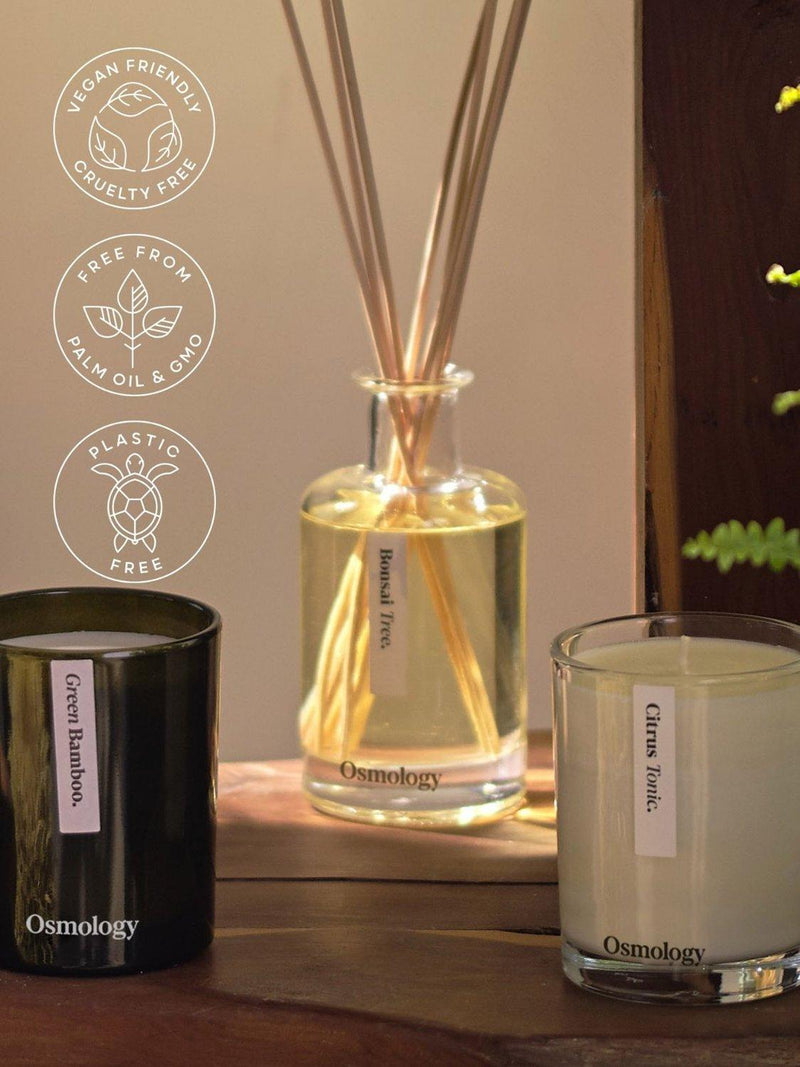 Osmology by Aery Bonsai Tree reed diffuser 200ml - British product