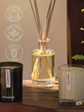 Osmology by Aery Bonsai Tree reed diffuser 200ml - British product