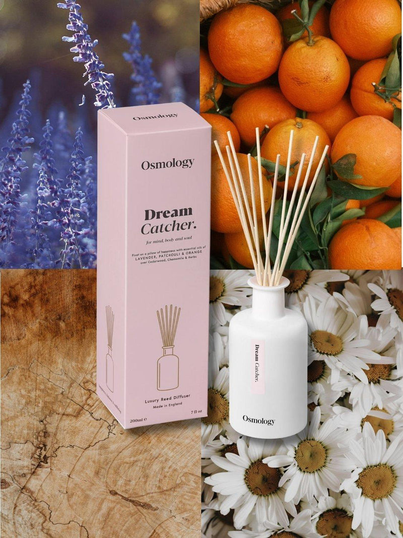 Osmology Dream Catcher reed diffuser 200ml (British brand)
