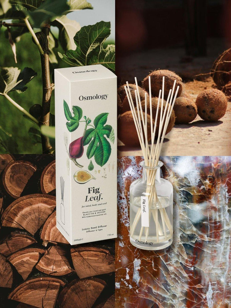 Osmology by Aery Fig Leaf Reed Diffuser 200ml, UK version