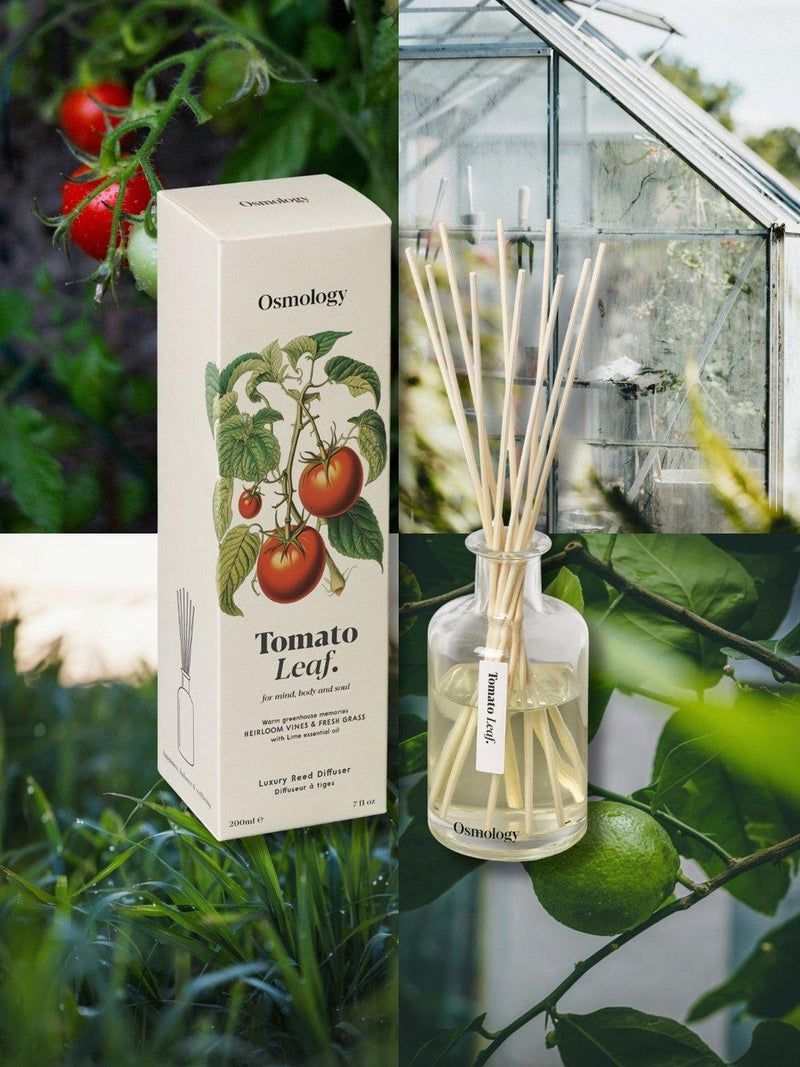 Osmology by Aery tomato leaf reed diffuser 200ml, UK version