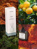 Osmology by Aery Utility Cedar reed diffuser 150ml, UK version