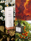 Osmology by Aery whiskey reed diffuser 150ml (British brand)