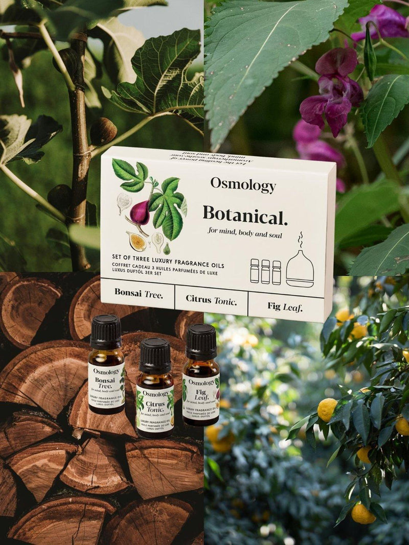 Osmology by Aery botanical fragrance oil gift set 200g (British brand)