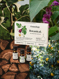Osmology by Aery botanical fragrance oil gift set 200g (British brand)