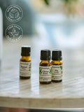 Osmology by Aery botanical fragrance oil gift set 200g (British brand)