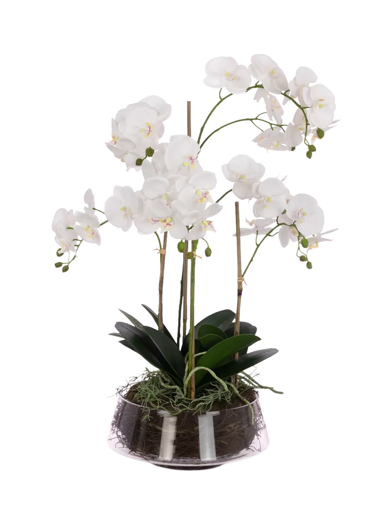Floralsilk artificial Phalaenopsis orchid bowl 74cm white - British product