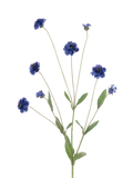 Floralsilk artificial cornflower spray blue 90cm, imported from the UK