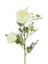 John Lewis Floralsilk Artificial Olivia Rose Spray, 66cm, White- Buy online at McGrocer