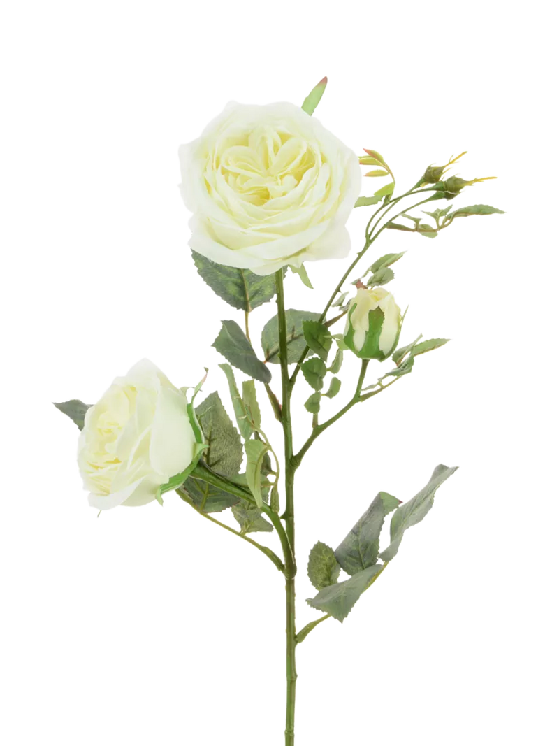 Floralsilk artificial Olivia Rose spray 66cm white - British product