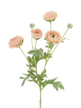 John Lewis Floralsilk Artificial Ranunculus Stem Pink 66cm- Buy online at McGrocer