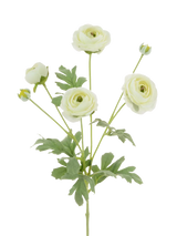 John Lewis Floralsilk Artificial Ranunculus Stem White 66cm- Buy online at McGrocer