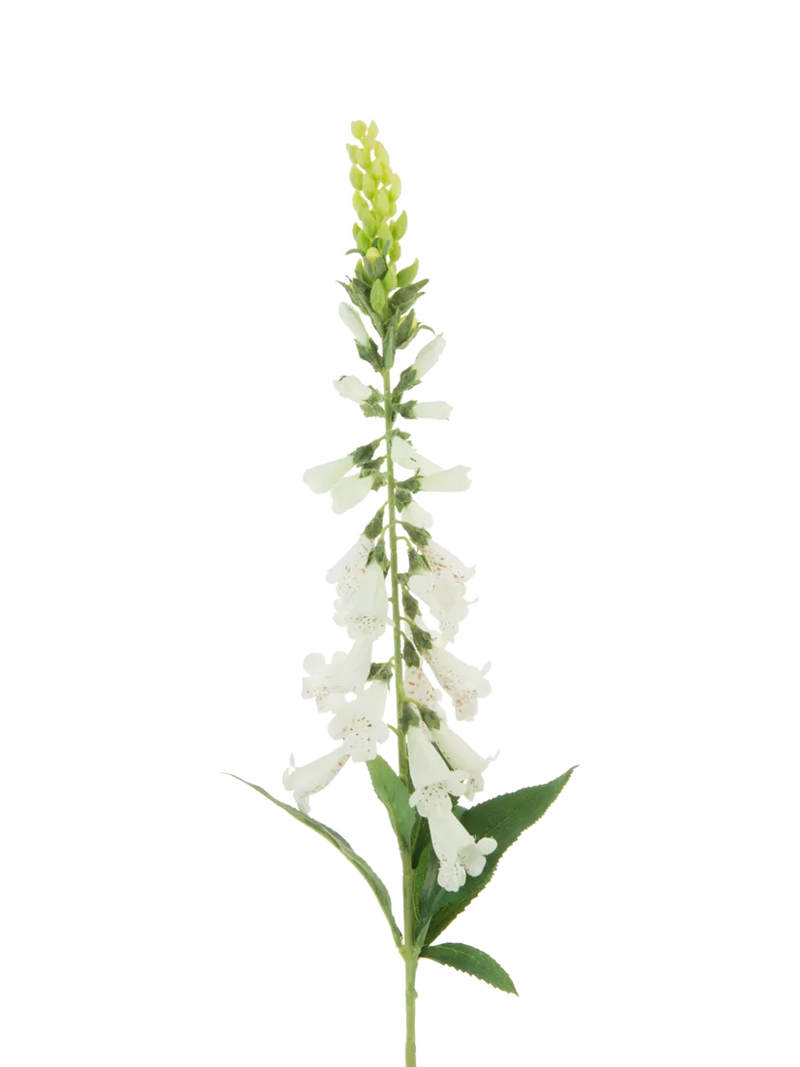 Floralsilk artificial foxglove stem white 97cm - British product
