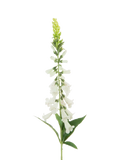 Floralsilk artificial foxglove stem white 97cm - British product