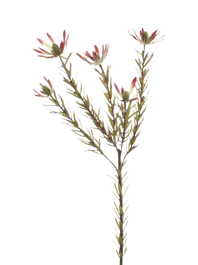 Floralsilk artificial Leucadendron spray green 70cm - British product