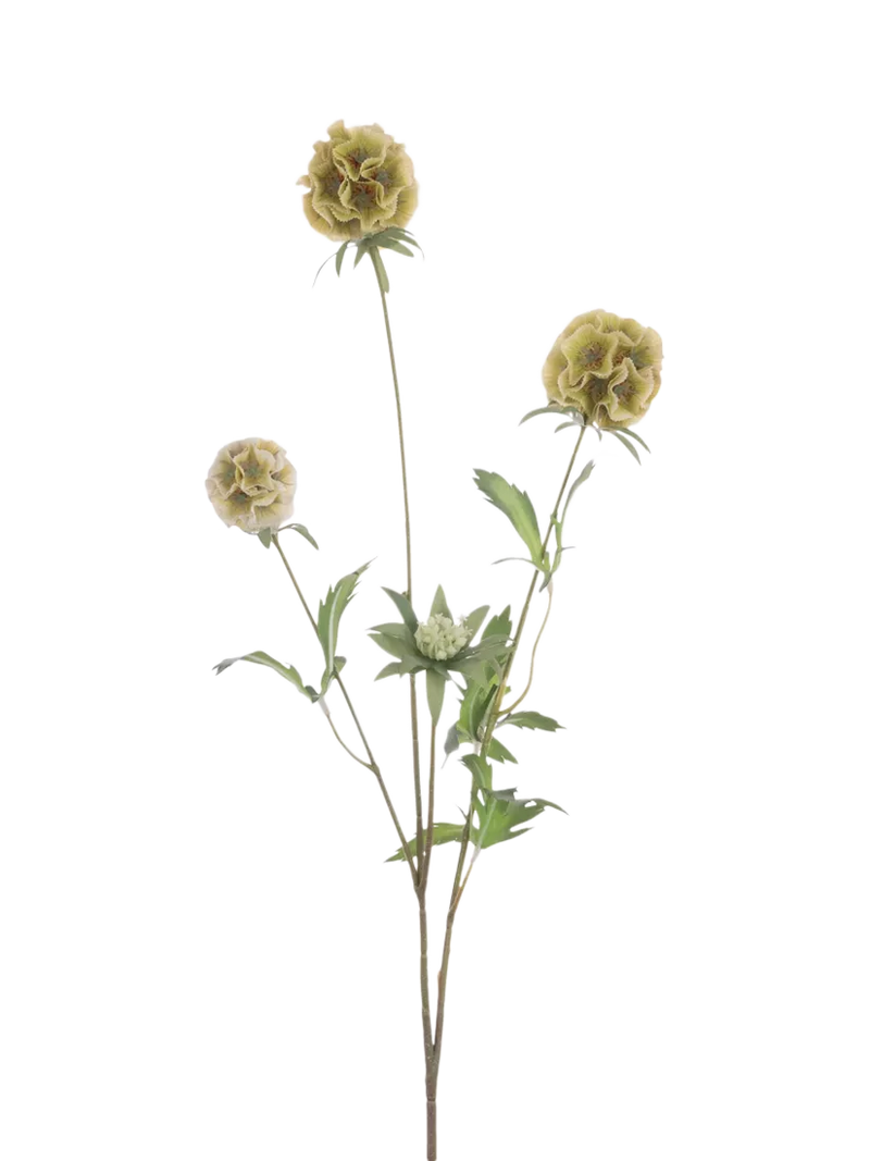Floralsilk artificial Scabiosa Stellata spray green 73cm - British product