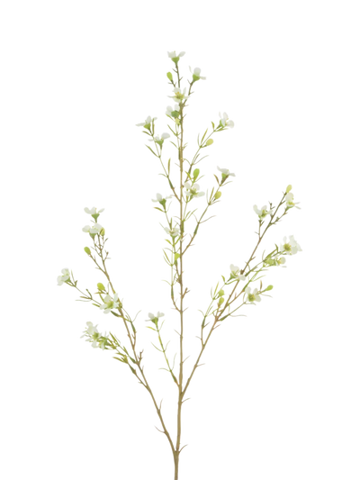 John Lewis Floralsilk Artificial Wax Flower Green Artificial Flower Stem 78cm- Buy online at McGrocer